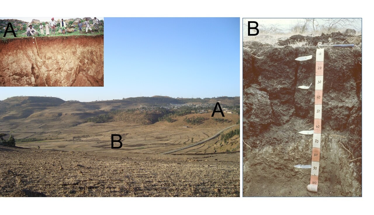 Field photographs of red and black soils at different positions on the Addi Selam hillslope in Ethiopia.