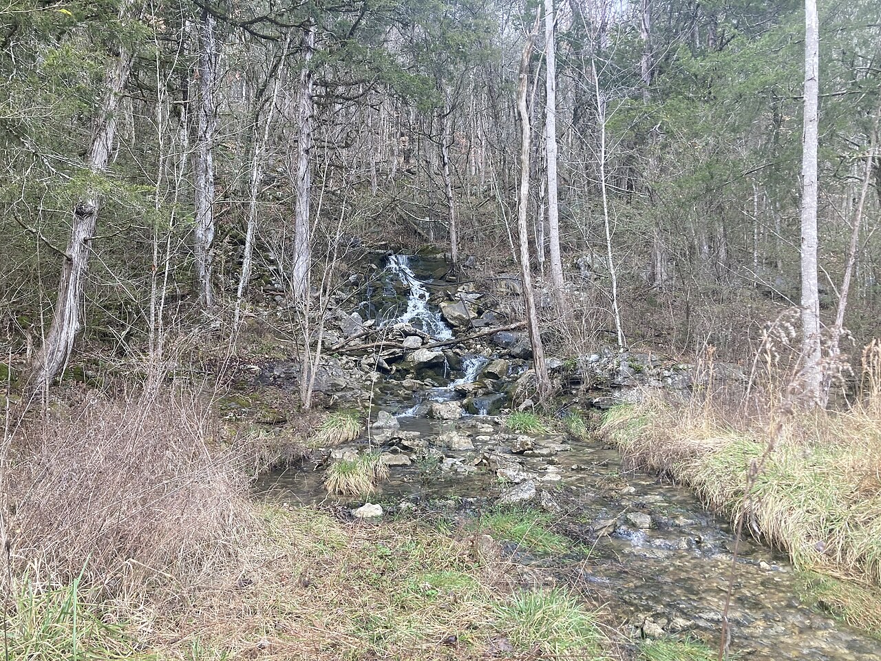 A karst spring in Alabama flows over rocks from a wooded limestone slope.