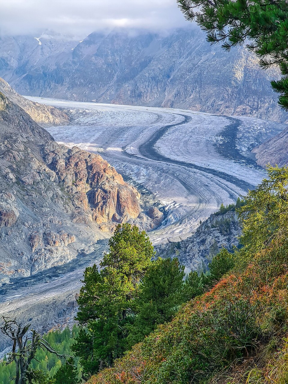The Aletsch Glacier curves through a steep Alpine valley, with dark medial moraines running along its surface.