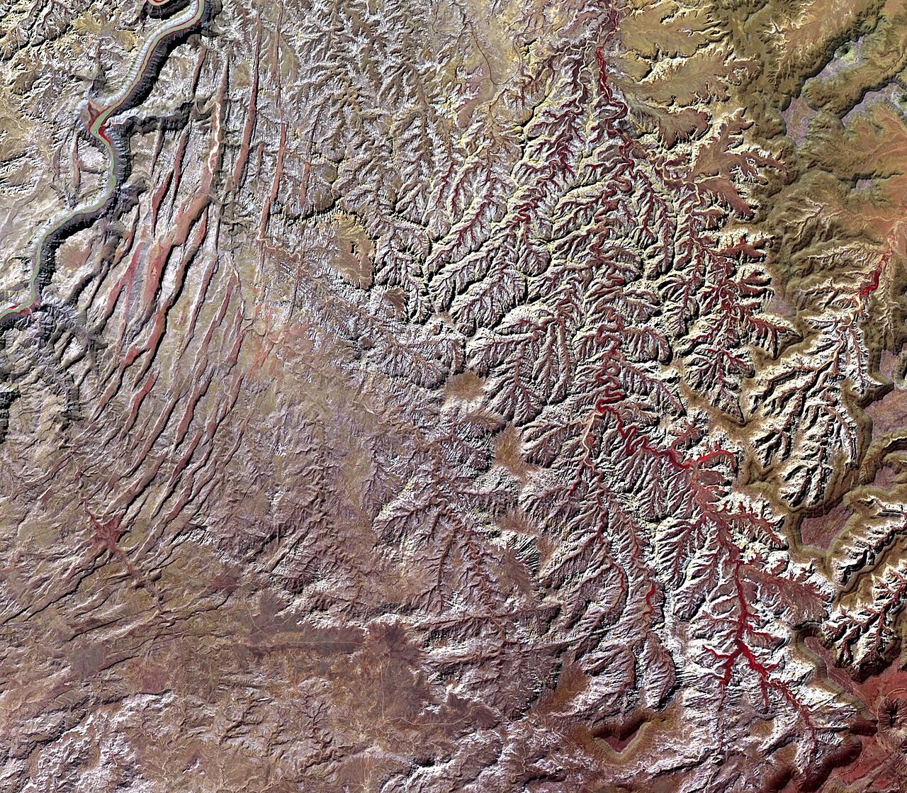 ASTER satellite image of branching tributary valleys near the Colorado River in Canyonlands, Utah.