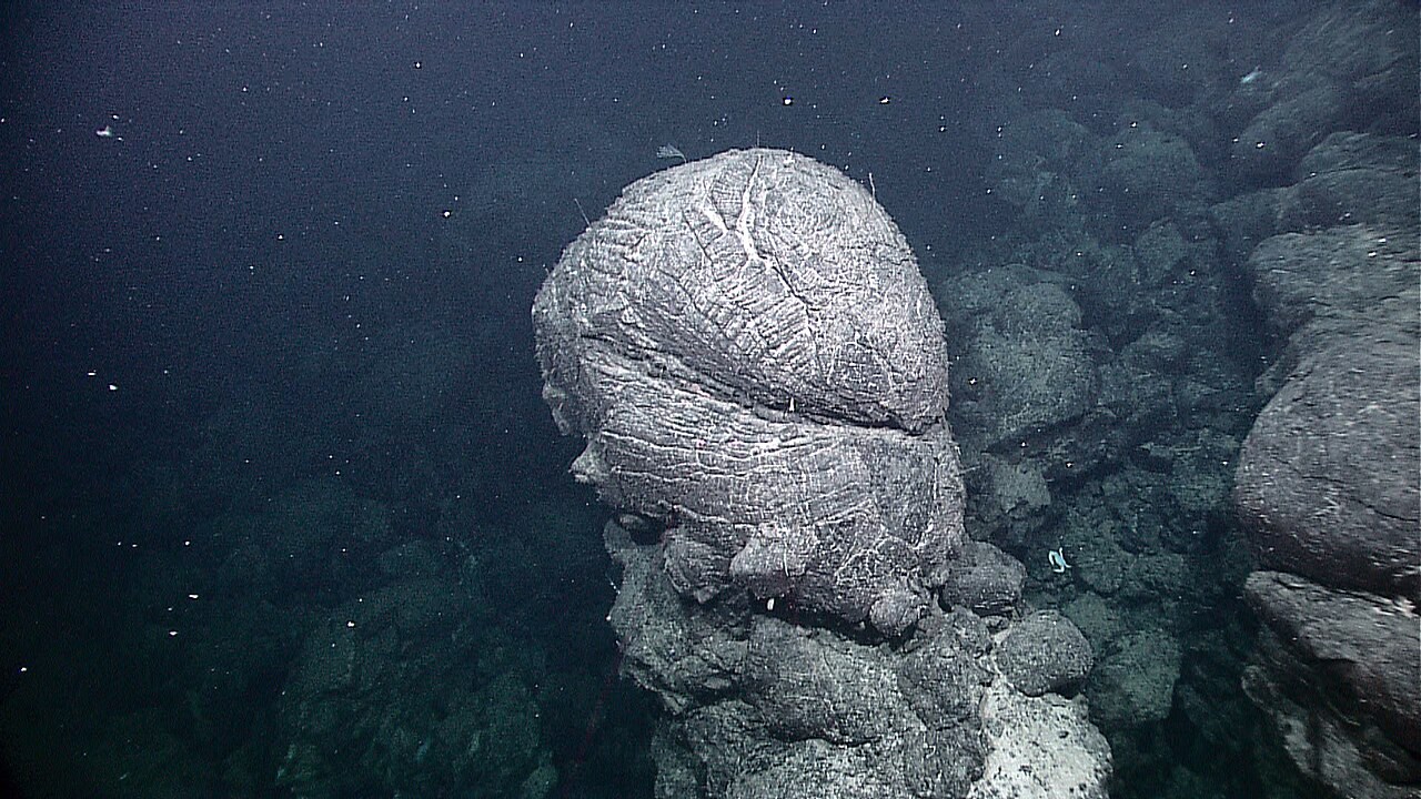 Rounded pillow lava on a fissured seafloor at the Galápagos Rift, photographed by a NOAA expedition.
