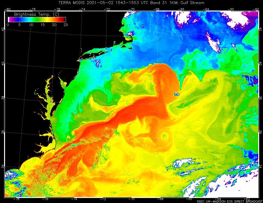 False-colour MODIS brightness-temperature image showing the Gulf Stream and warm eddies in the North Atlantic.