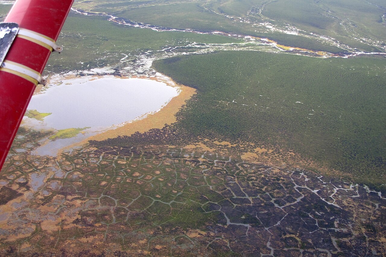 Polygonal ground and ponds on the tundra in Noatak National Preserve, Alaska, photographed from the air.