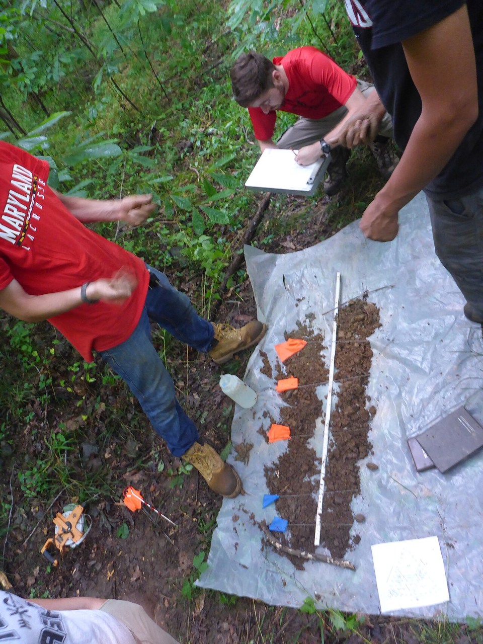 National Park Service soil scientists examine a freshly sampled soil profile and record its texture.