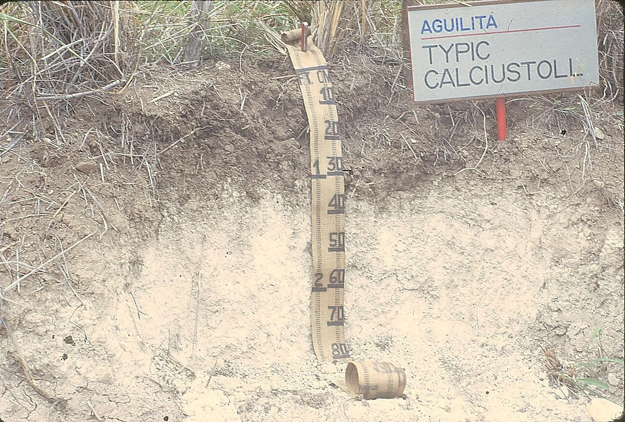 A Puerto Rican soil profile has a dark surface above pale carbonate-rich subsoil, with a depth scale.