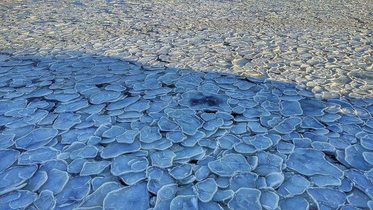 Circular plates of new pancake ice cover the surface of the western Ross Sea in Antarctica.
