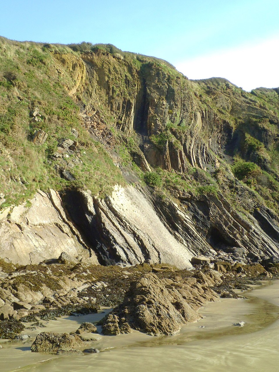 Tilted and folded sedimentary beds exposed at The Settlands coast.