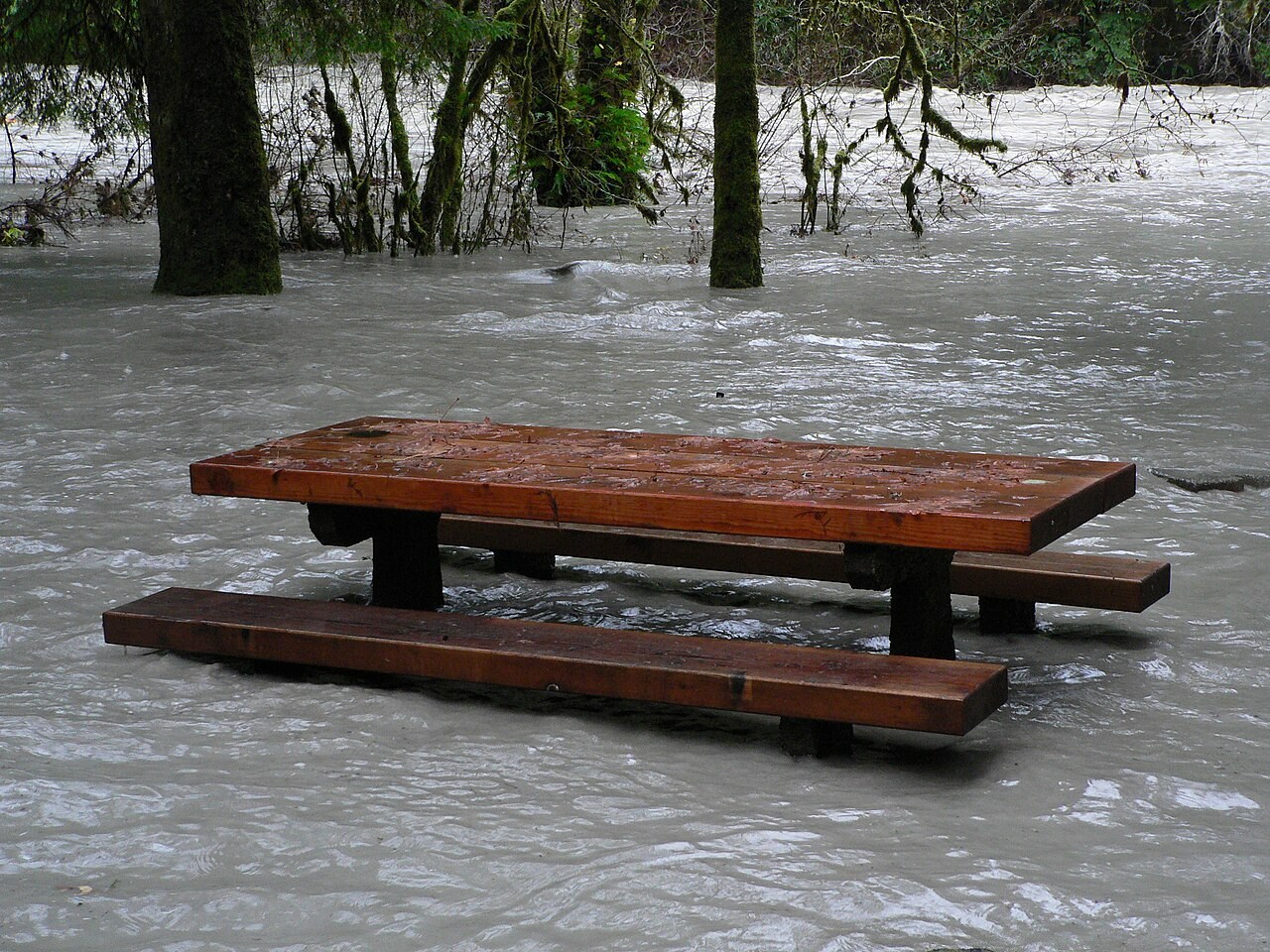 Floodwater from the Stillaguamish River surrounds a picnic table and trees.