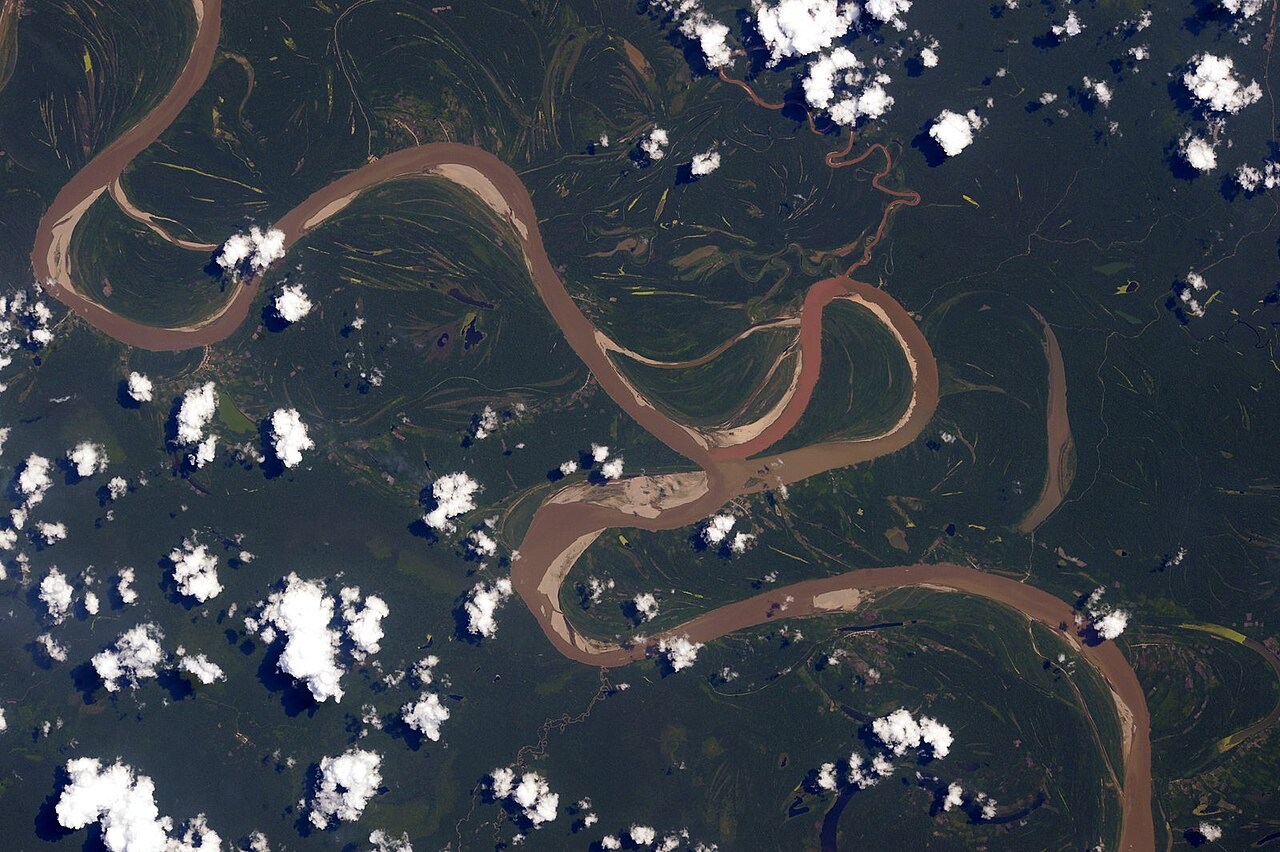 The muddy Ucayali River winds through forest in Peru, with abandoned bends beside the active channel.