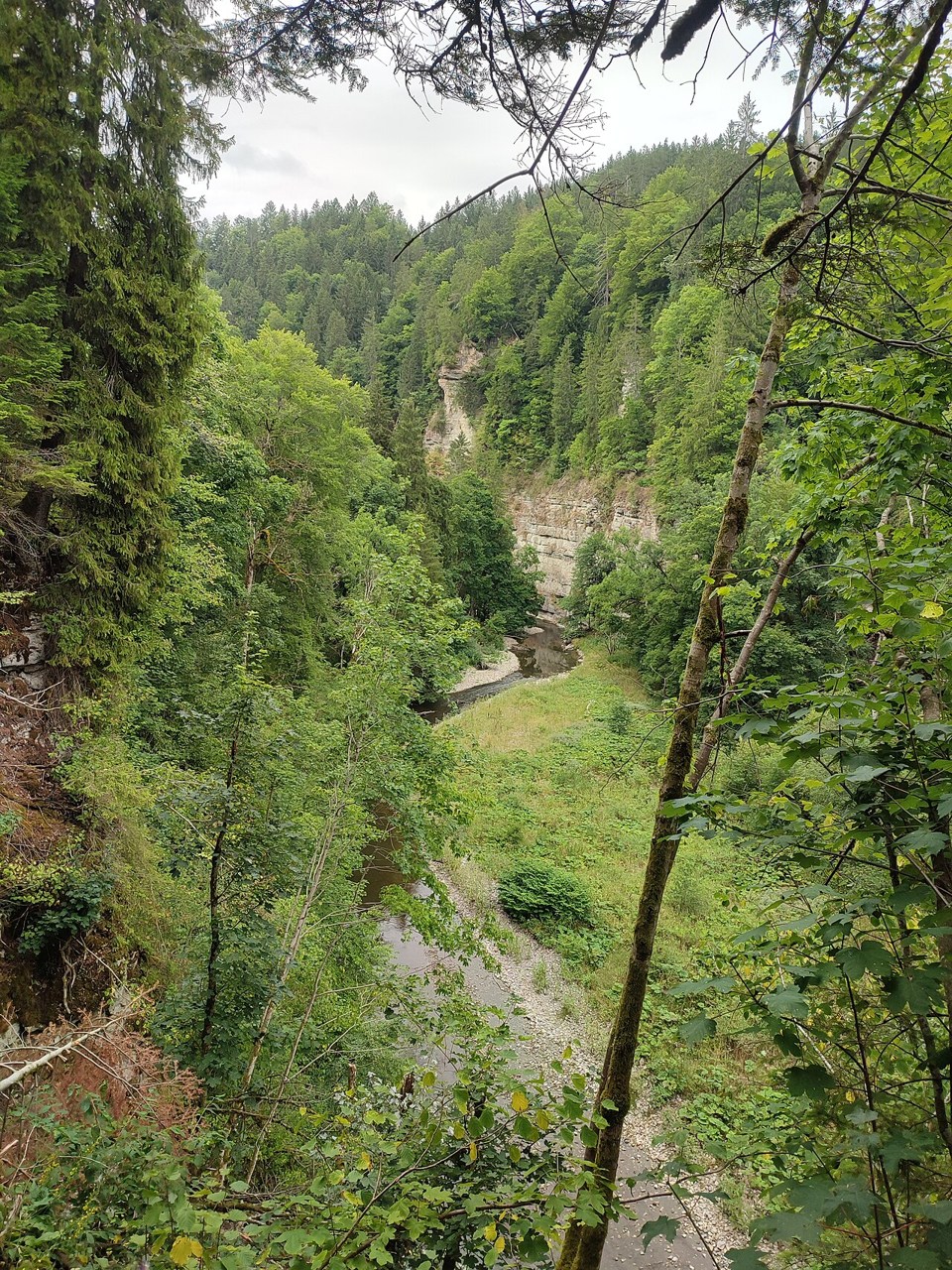 The Wutach flows through a narrow, wooded gorge below exposed rock walls in the Black Forest.
